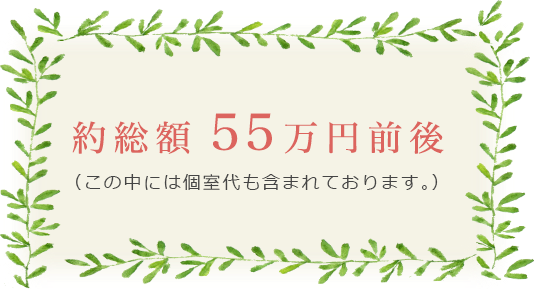 約総額53万円前後（この中には個室代も含まれております。）